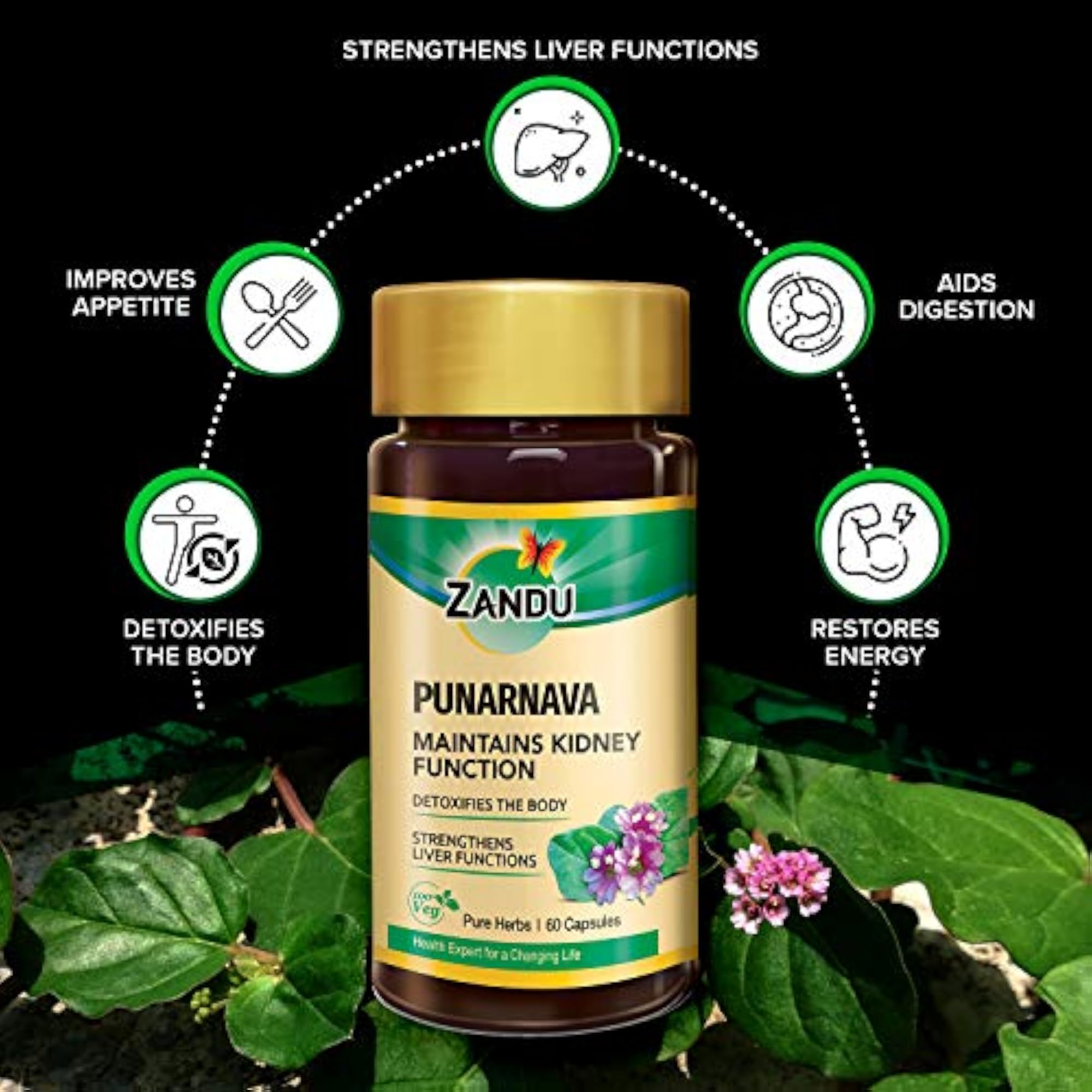 Punarnava Capsules, 60 Veg