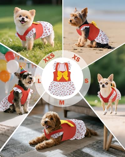 Image of CuteBone Dog Dress for Small Dogs Girl, Cherry Summer Dresses with Bow & Ruffle Sleeve, UPF50+ Sun Protection, Cute Pet Clothes for Puppy for Birthday Wedding Party Beach ZSFX06XXS