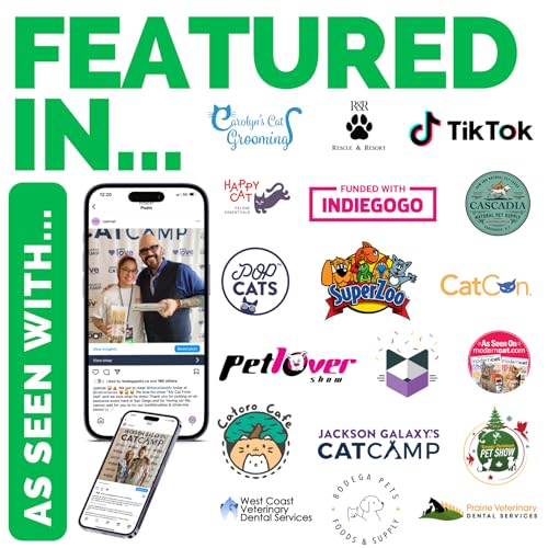 Ryercat Dual Sided Cat Toothbrush  Kitten Toothbrush with Micro Head to Fit into Catkittens Mouth  Cat Dental Care Supplies  Pet Toothbrush for Cats shamrock  Cucciolini Doodles Ryercat dual sided cat toothbrush  kitten toothbrush with micro head to fit into catkittens mouth  cat dental care supplies  pet toothbrush for cats shamrock   cucciolini doodles