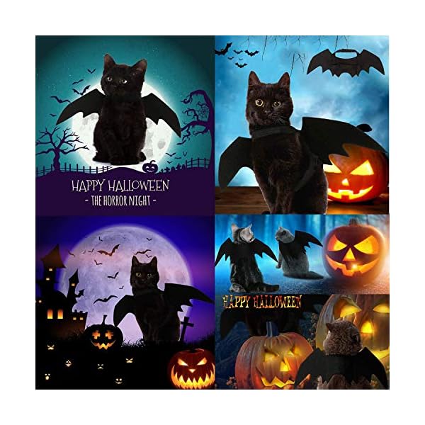 Cat bat wings, airlxf pet cat bat wings for halloween party decoration black cat bat wings for cat dress up accessories cosplay for cat small dogs puppy - image 8
