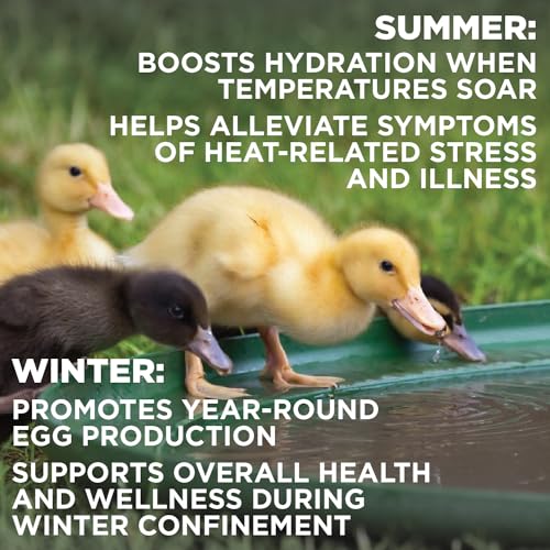 Pivotal Chick’n Aid Chicken Supplement for All Ages (8 oz, Pack of 1) - Chicken Vitamins, Electrolytes, and Probiotics - Multipurpose Poultry Vitamins for Chickens, Ducks, and Turkeys - Image 5