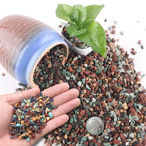 CHEOAR 1.4 kg (3lb) Misch Lava Steine für Pflanzen in Tür - 3-6mm Steine Garten für Bonsai saftige Kaktus Töpfen Boden und Vase Füller, Fee Gartenarbeit, Top Dressing