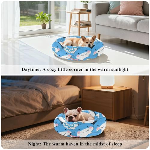 Couchage dauphin bleu taille M pour sieste de chatons - 5