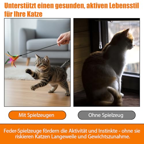 10 Stück Katzenangel Feder, Katzenspielzeug Angel mit Federspielzeugen, 40 cm Länge, für interaktives Spiel und Bewegung, Kätzchen Und Katzen,Katzenspielzeug – Bild 5