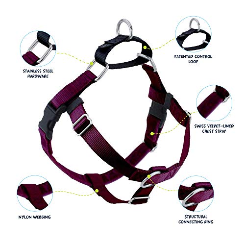 2 Hounds Design Freedom No Pull Dog Harness | Adjustable Gentle Comfortable Control For Easy Dog Walking |For Small Medium And Large Dogs | Made In Usa | Leash Included | 1" Lg Burgundy #TOP1