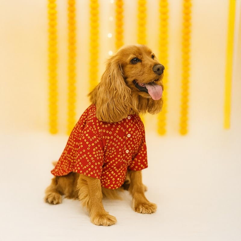 Image of Thunder Tails Soft Cotton Kurta for Small Dogs & Puppies | Comfortable Traditional Pet Wear for Pekingese, Maltese & Mini Breeds | Ethnic Outfit Festivals (Red Bandhani, Small)