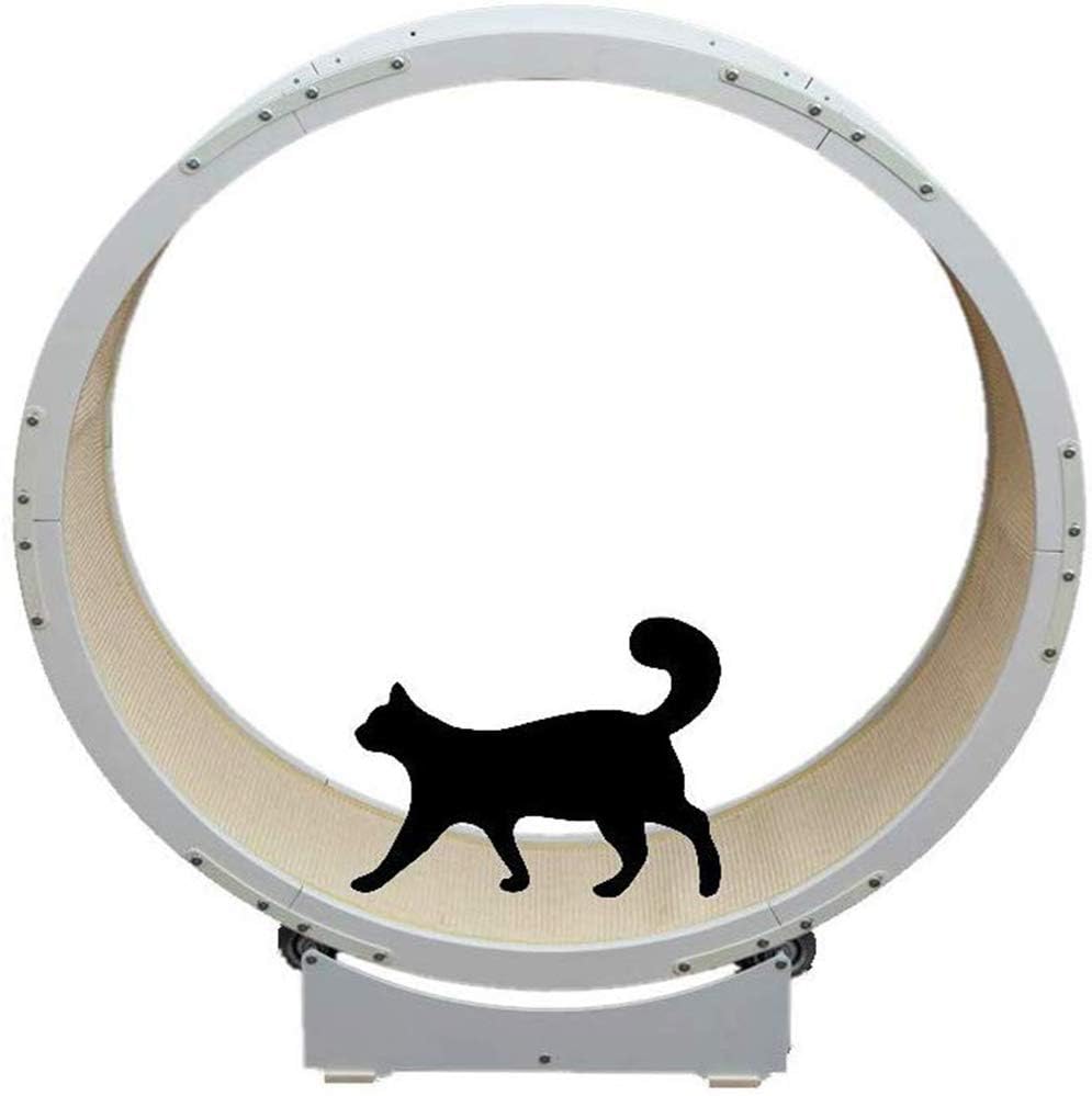 tapis roulant per animali