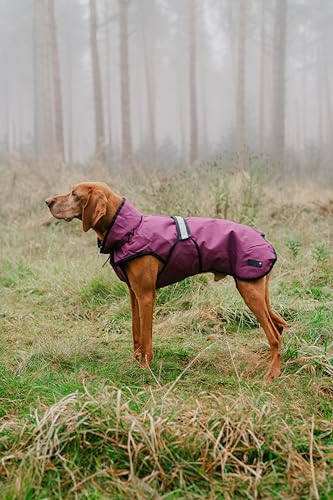 Danish Design 3-in-1-Hundemantel, 33 cm, für jedes Wetter, mit Fleece gefüttert, reflektierender Regenmantel für Hunde, Pflaume