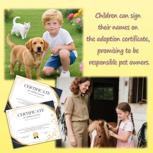 Image of Certificate of Appreciation -25pcs, Certificates of Recognition-A33
