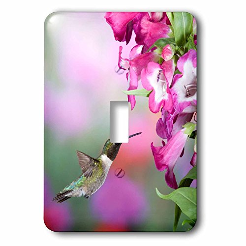 Interrupteur à bascule simple colibri avec finition graphique haut de gamme - 2