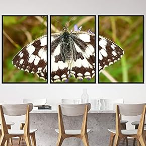 signwin 3 Piece Framed Canvas Wall Art Colorful...