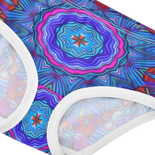 Kaleidoscope Blue Mandala Panties for Girl Girls Underwear Toddlers Cotton Florals Briefs Kids Undies 2t4