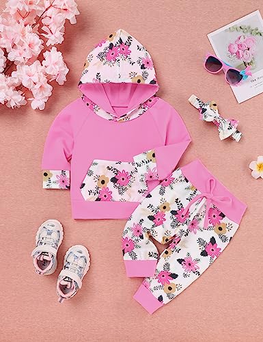 Wexuua Baby Girl Clothes Long Sleeve Hoodie Tops Pants Outfits Infant Toddler Girls Clothing Sets - Image 5