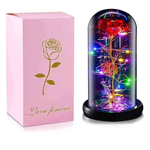 FairyHouse枯れない花 バラ造花 LEDライト 電池式 24Kゴールドローズ 薔薇 花束 フラワーライト フラワーギフト バレンタインデー 母の日 誕生日 結婚記念日 クリスマス お祝い プレゼント 女性 妻 彼女への贈り物 (赤いバラ+カラーライ
