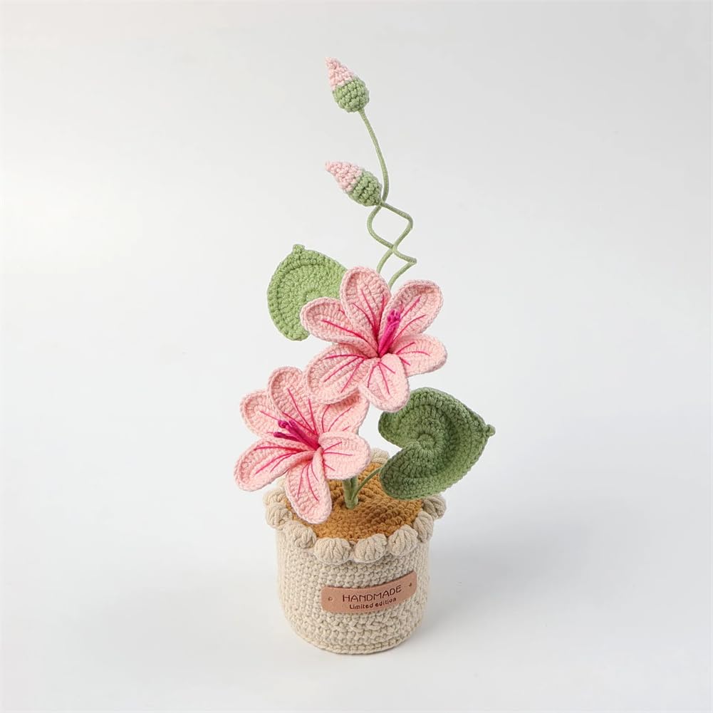 Concubine de neige fleurs en pot Vsadsau, le cadeau fait main idéal