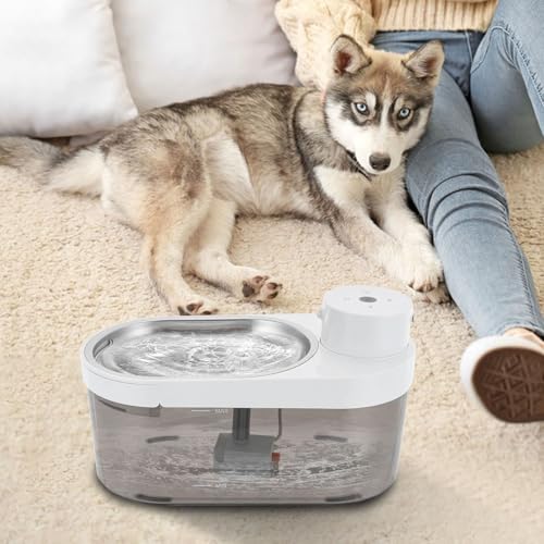 Fuente automática para gatos 4L con filtros y cable USB miniatura 5