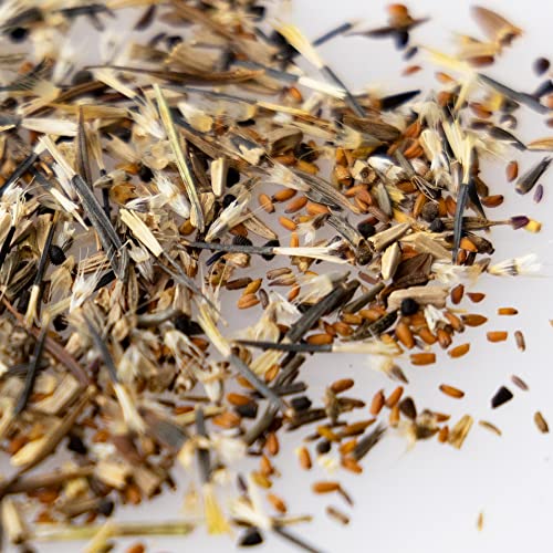 image for Mountain Valley Seed Company Wildflower Seeds Bulk – National Wildfl