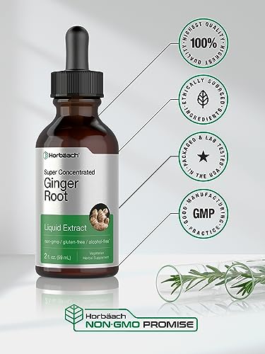 Horbäach CL40359 Ginger Root Extract Liquid | 2 Oz | Alcohol Free Supplement thumb #4
