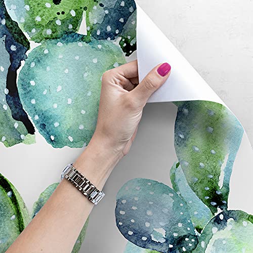 Papier peint cactus 312x219 cm mural auto-adhésive Magic-Stick salon