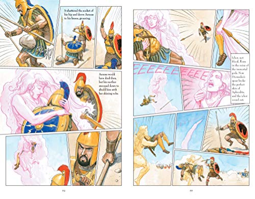 Image of The Iliad