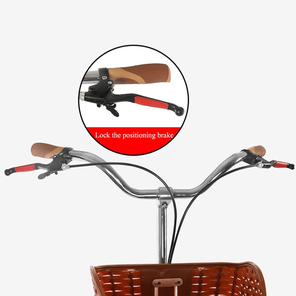 3 Wheel Bikes Adult Tricycle Bike 20inch 3-Wheel Bicycle with Back Seat Trike Bike Bicycle Simple Modern City Bike for Shopping Cycling (Red 20inch) : ספורט ופעילות בחיק הטבע