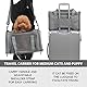 X-ZONE PET Airline Approved Pet Carriers,Soft Sided Collapsible Pet Travel Carrier for Medium Cats and Puppy (Medium, Grey)
