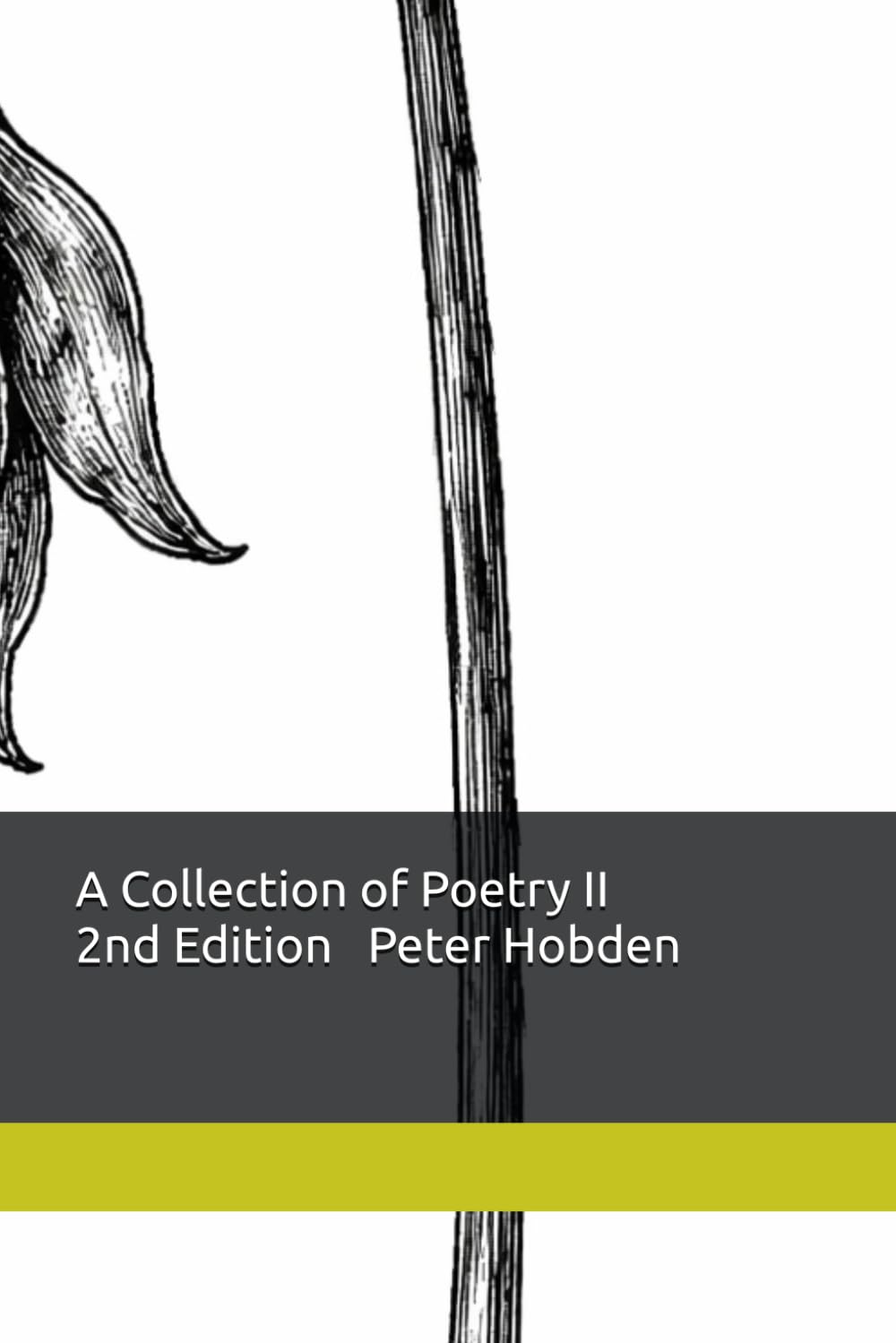 'A Collection of Poetry II' 2nd Edition