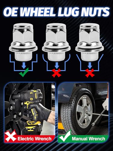 View 5