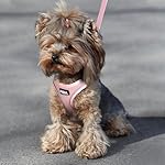 Fida Cat Harness and Leash Set for Walking Kitten and Puppy, Escape Proof Kitten Harness with Breathable Lightweight Soft Mesh, Adjustable Reflective Step-in Design. (XXXS, Pink) - Image 5