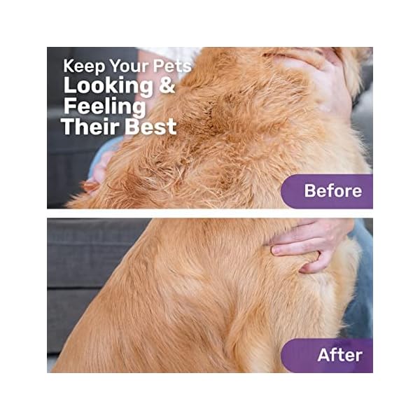 Hertzko Pet Undercoat Dematting Comb for Dogs Cats – Undercoat Rake Grooming Brush with Safety Edges – Deshedding Tool Great for Cutting and Removing Dead, Matted or Knotted Hair, Shedding Combs Hertzko Pet Undercoat Dematting Comb for Dogs Cats – Undercoat Rake Grooming Brush with Safety Edges – Deshedding Tool Great for Cutting and Removing Dead, Matted or Knotted Hair, Shedding Combs