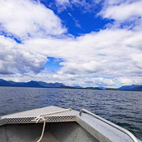 Compassionate Leadership-Understanding what our Followers Need! Podcast Por arte de portada