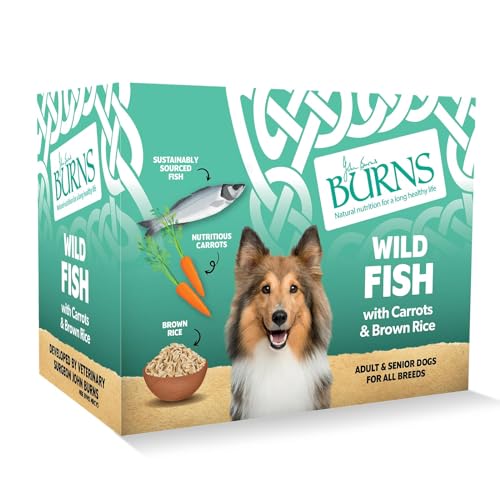 Burns Pet Natural Nutrition Adult & Senior Wet Dog Food Wild Fish Carrots & Wholegrain Brown Rice 6 x 395gm