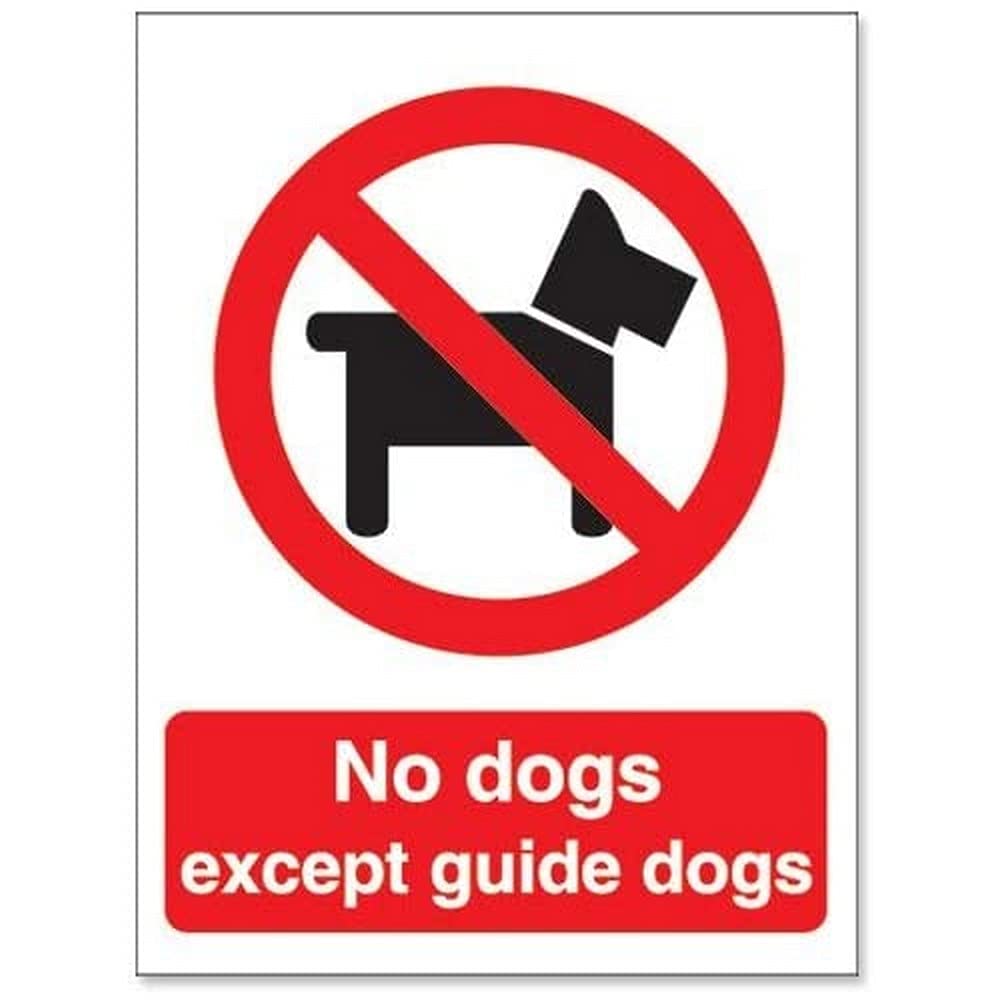 Seco Schild „No Dogs Except Guide Dogs“ – 200x300 Mm, Halbstarrer Kunststoff, Wetterfest