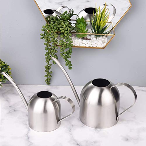 Imeea Small Watering Can For Indoor Plants Stainless Steel Bonsai Watering Can Mini Metal Watering Can (15Oz/450Ml) #TOP5
