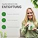 Nature's Finest BIO Detox Superfood Mix - Pulver zur Entgiftung des Körpers mit Hohem Protein, Ballaststoff, Eisen und Vitamin C - Vegan, 125 g