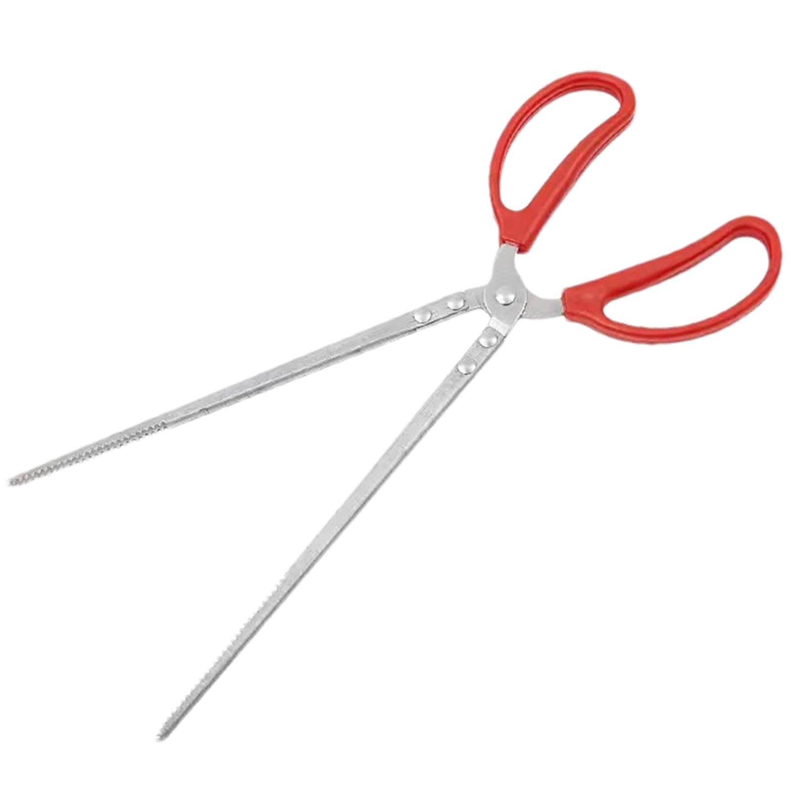 Pince d'alimentation pour reptiles – Pince incurvée pour aquarium | Pince d'alimentation extra longue | Pince antidérapante facile à prendre en main pour terrarium | Accessoires pour aquarium | Pince