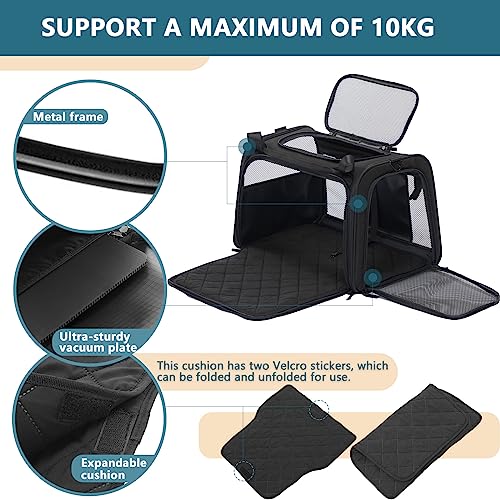 Petsfit Transportbox Katze Hund faltbar Transporttasche Hundetasche für Katzen Hunde, Hochwertige Tragetasche Hund Katze mit Schultergurt und weiches expandierbare Kissen, groß