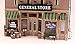 Woodland Scenics Landmark Structures Built & Ready Lubener's General Store, O Scale
