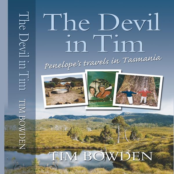 Cover art for The Devil in Tim