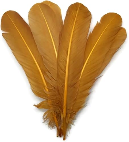 14 libras - Pavo de oro antiguo Tom Rounds Secundaria ala Quill al por mayor plumas (a granel) carnaval, Fletching Craft Supply  Moonlight Feather