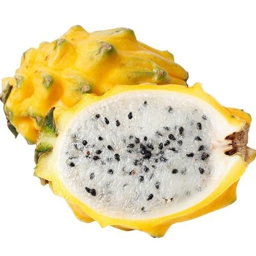 25 Sweet Yellow Dragon Fruit Seeds Perennial Fruit Plant Seeds For Garden #TOP3