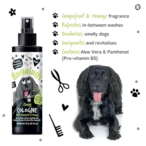 Cologne für Hunde – 200 ml – Grapefruit und Orange – Duftspray mit Zitrusfrucht, erfrischend und Deodorant für sauberes Haar, natürliche Formel für den täglichen Gebrauch und empfindliche Haut