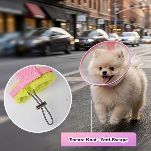 Image of Soft Elizabethan Collar for Small Dogs 2-20 lbs, Comfy Recovery Cone for Post-Surgery Spay & Neuter, Lightweight Breathable Neck Collar to Stop Licking for Teacup Puppies & Yorkies, S