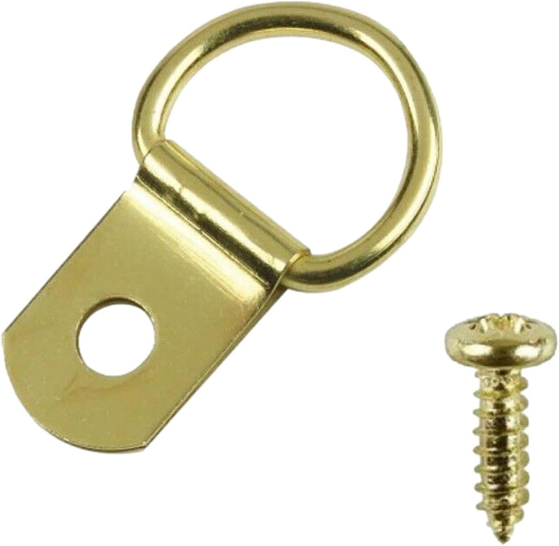 Brass D Rings & Screws for Picture Frame Hanging (100 Pack)