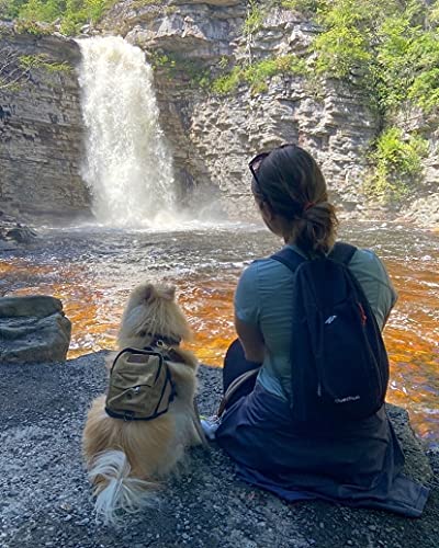 BoxDog Matching Dog Backpack and Human Backpack Set | Travel Camping Hiking Canvas and Leather Dog Backpack | Dog Park… - Image 2