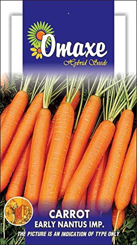 Carrot Early Nantes Imported Vegetable seeds Kitchen Garden Packet (B07MM5NB8K) Amazon Price History, Amazon Price Tracker