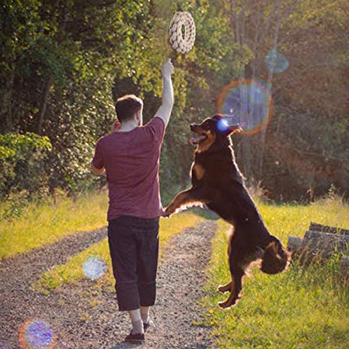 FONPOO Hundespielzeug Hergestellt aus Natürlicher Baumwolle und Leinen Natürlich und Ungiftig Um die Intelligenz von Hunden zu Entwickeln Diverses Hundeball Zubehör Perfektes Starterset