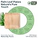 GREEN EARTHLY Large 10" Square Palm Leaf Dinner Plates (25-Count) - 100% Natural & Compostable Contemporary Eco Plates for Any Occassion 4