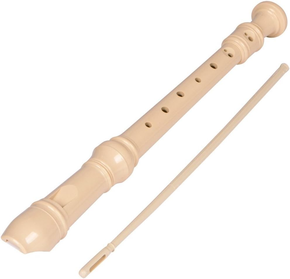 BEST Musical Instrument RECORDER, Perfect For School Ensembles & Children, Complete Set Includes CLEANING BRUSH & CLOTH, Cleaning Rod, Carry Bag & Fingering Chart