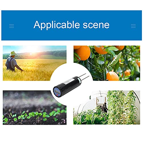 Bodentester, 304 Edelstahl LCD Digitalanzeige Bodentemperaturmessgerät für den Garten – Bild 3